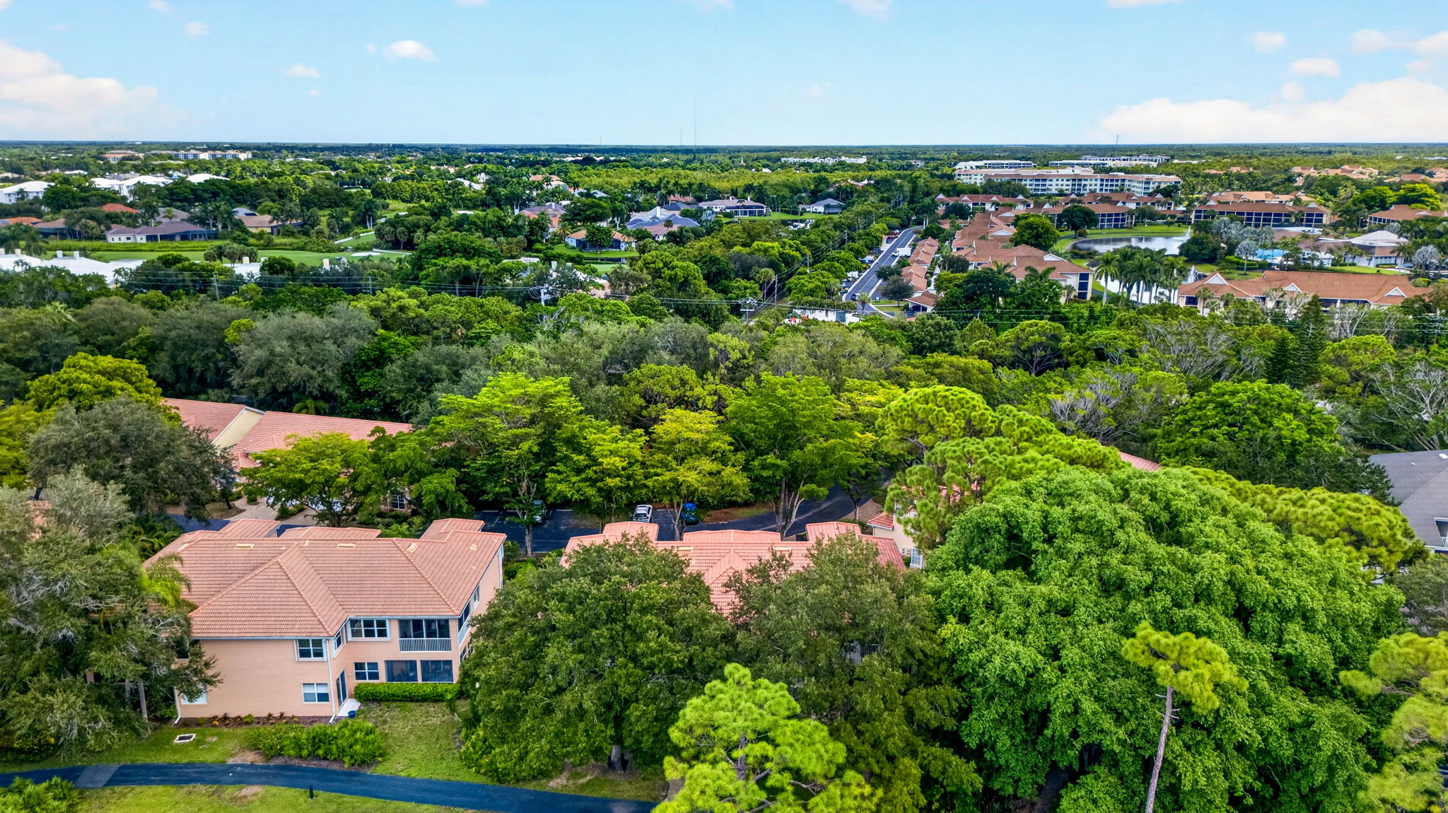Aerial 4