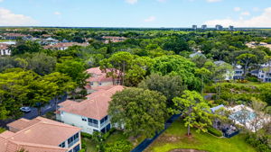 Aerial 3