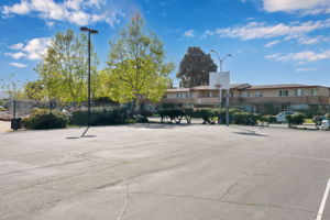  Photo 49