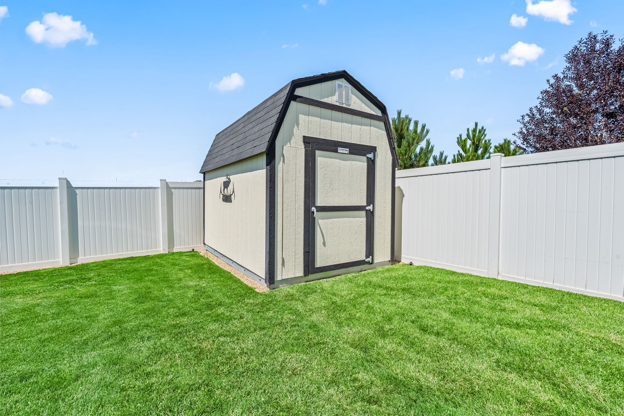Shed