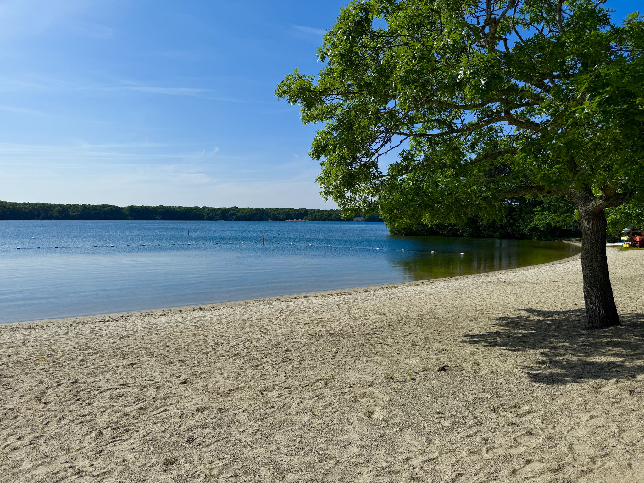 Association Beach