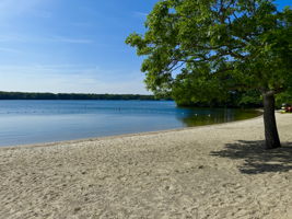 Association Beach