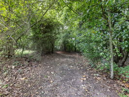  Photo 36