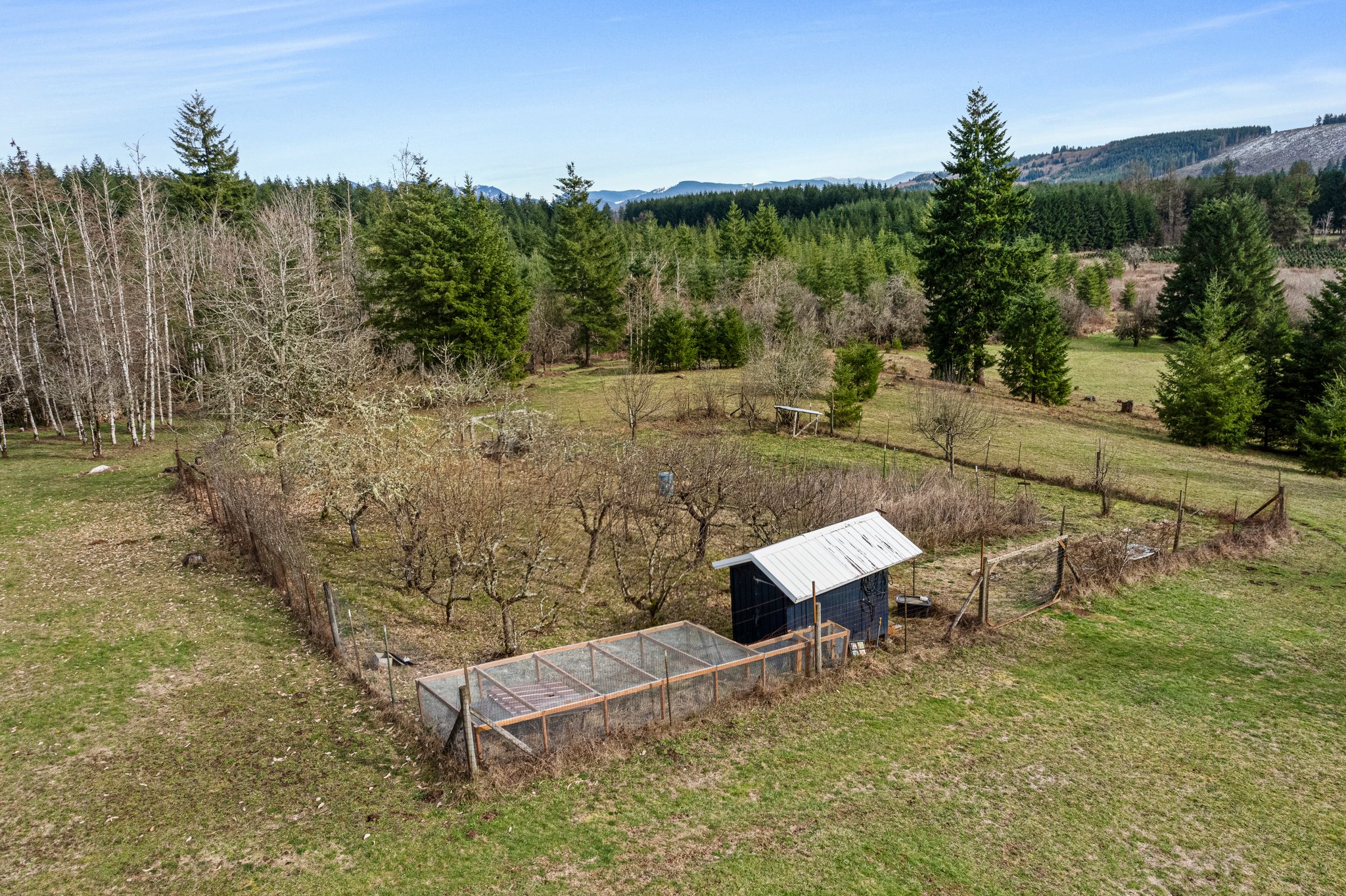  Photo 44