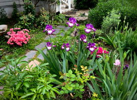  Photo 40