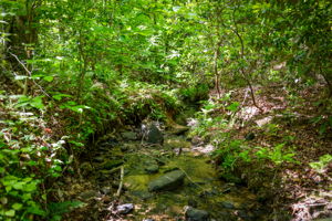  Photo 104
