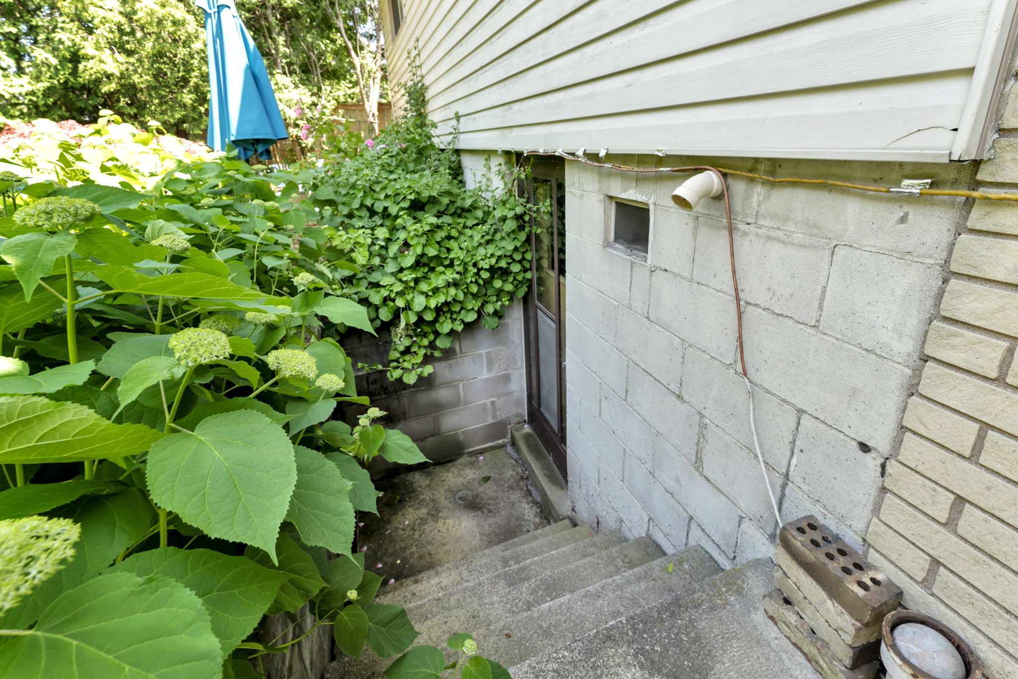  Photo 45