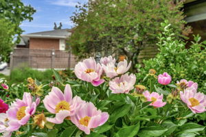  Photo 35