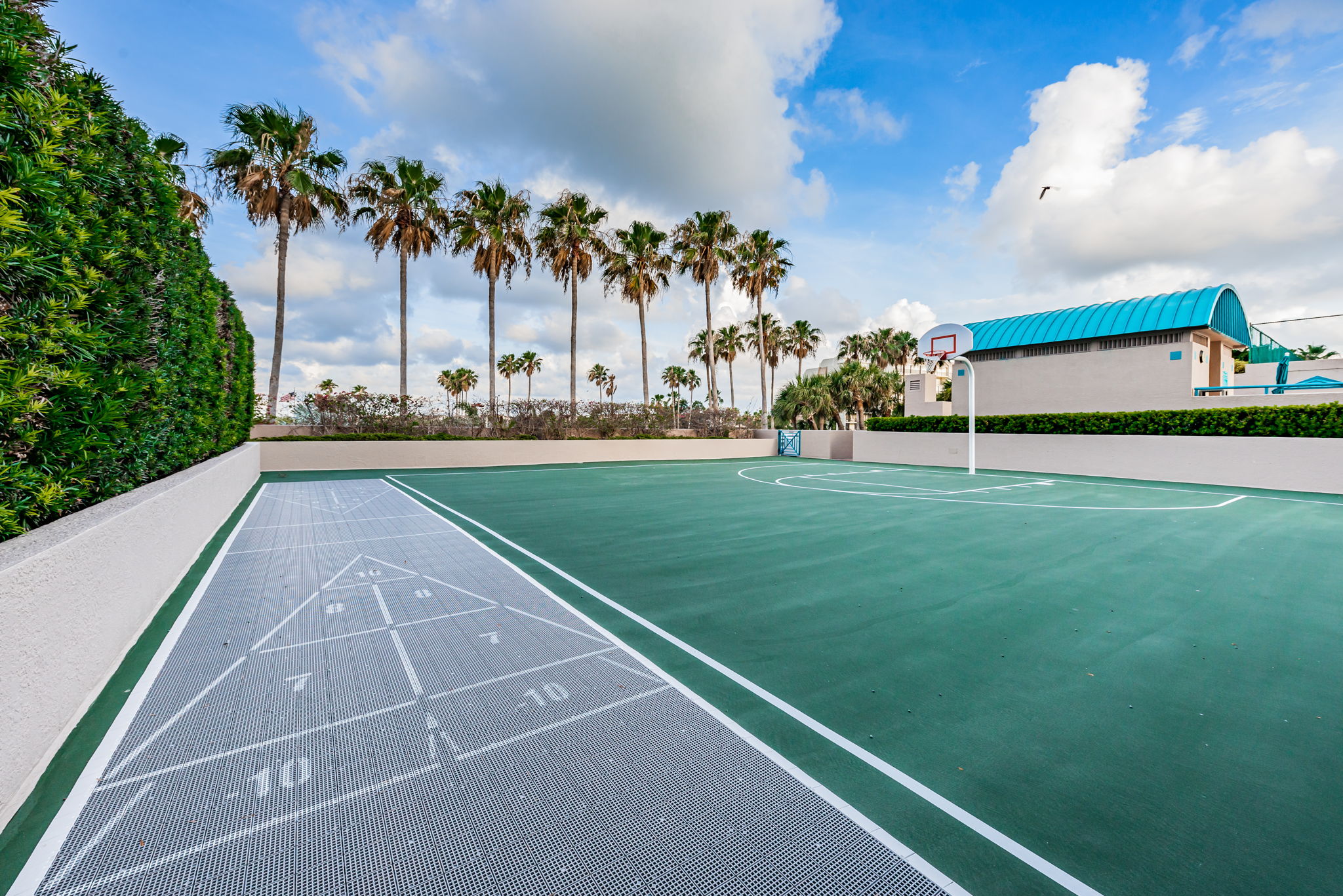 Shuffleboard