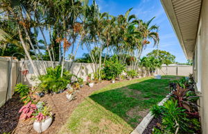 Backyard 1