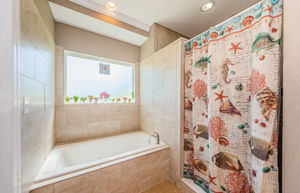 Master Bathroom 1b