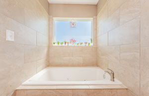 Master Bathroom 1c