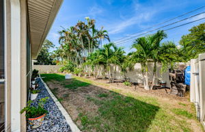 Backyard 2