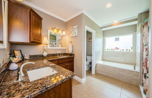 Master Bathroom 1a