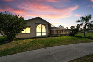Backyard 4