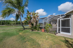 Backyard 1