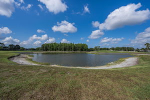 Pond View 1