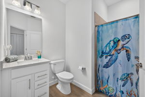 Guest Bathroom 1