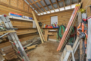  Photo 47