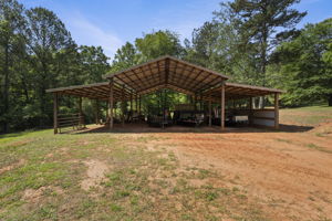  Photo 54