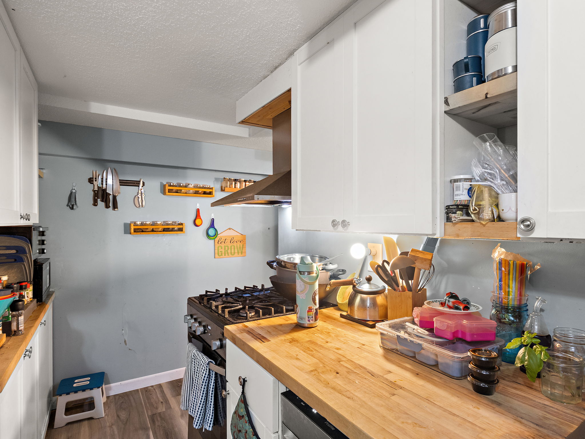 1521 Grand Ave-Saint Paul-120
