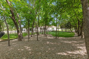 1521Meandering_035