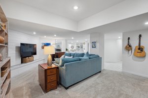 Basement Family Room