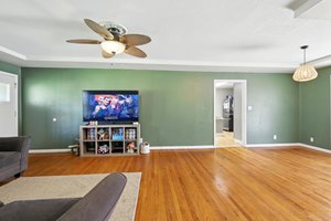  Photo 8