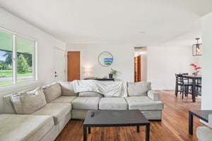 NE Couch Ct-1504-013.jpg