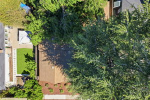  Photo 49
