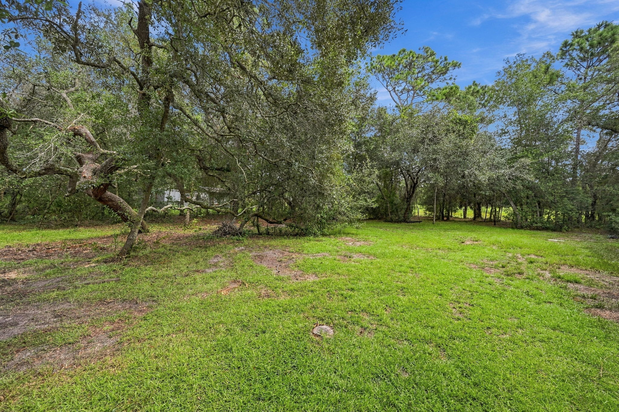 Backyard1