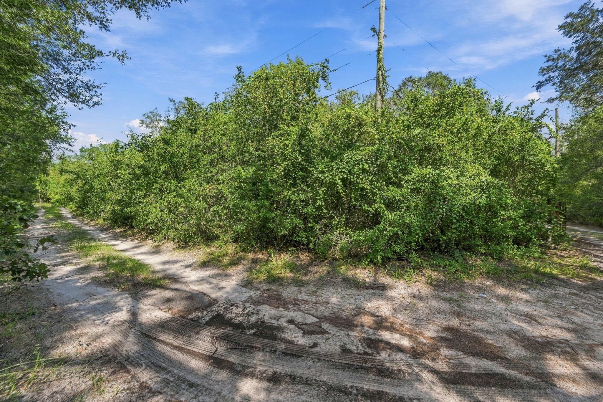 Driveway Entry2