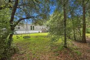 Backyard3