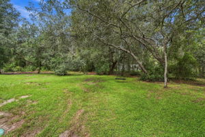 Backyard5