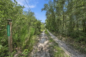 Driveway Entry1