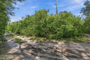 Driveway Entry2