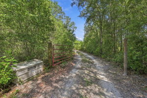 Driveway Entry3