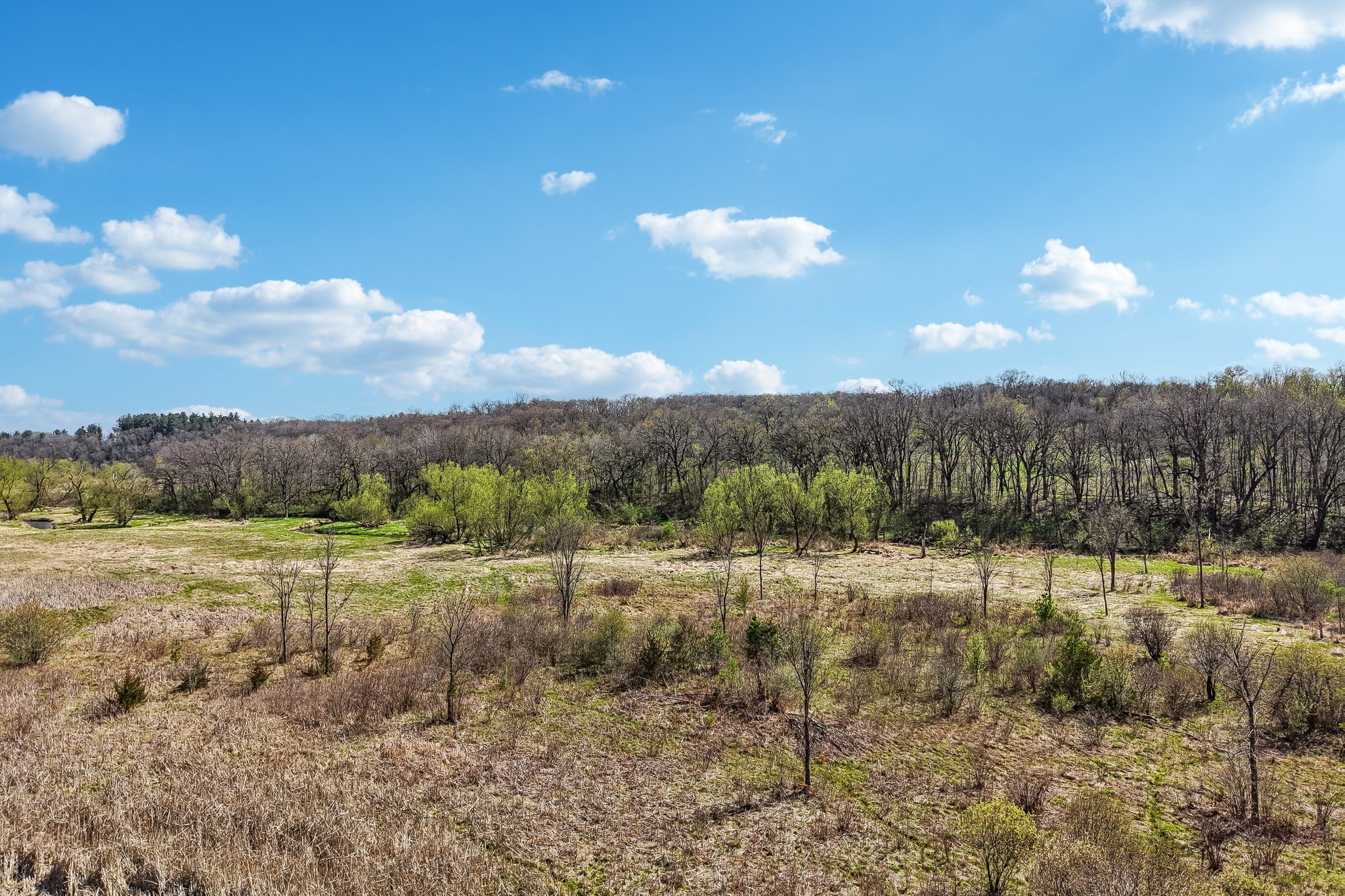 Erfurth Rd-S2404-1-010.jpg
