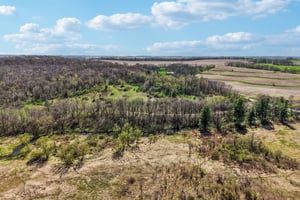 Erfurth Rd-S2404-1-009.jpg