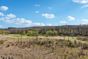 Erfurth Rd-S2404-1-010.jpg