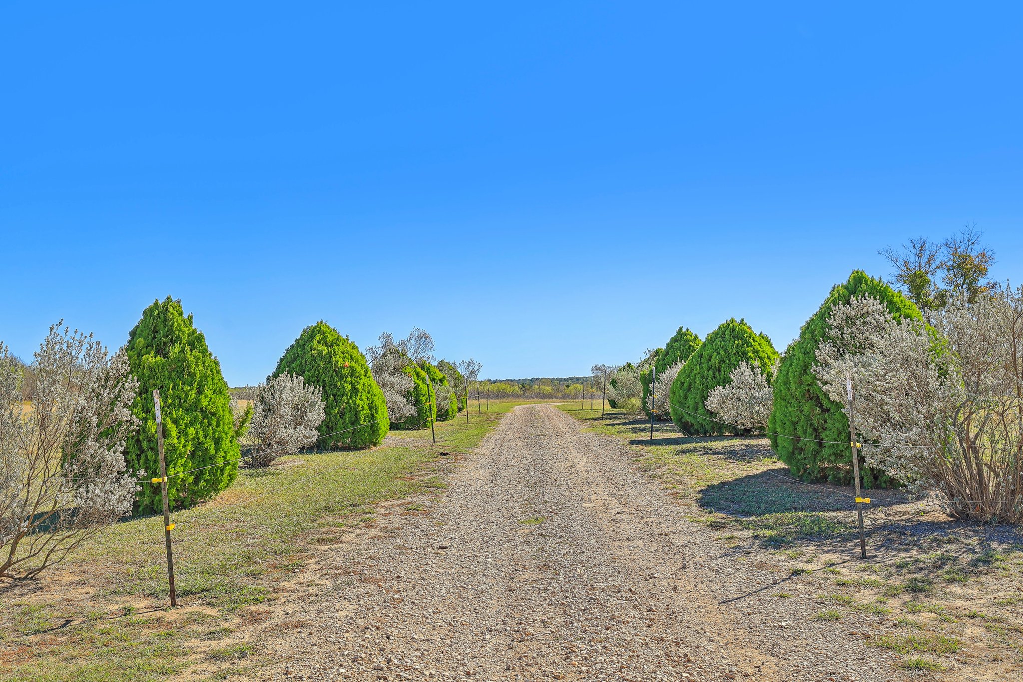 Farm to Market Rd 1704-056.jpg