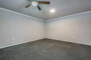 15250 Fm 2590 Soncy-8