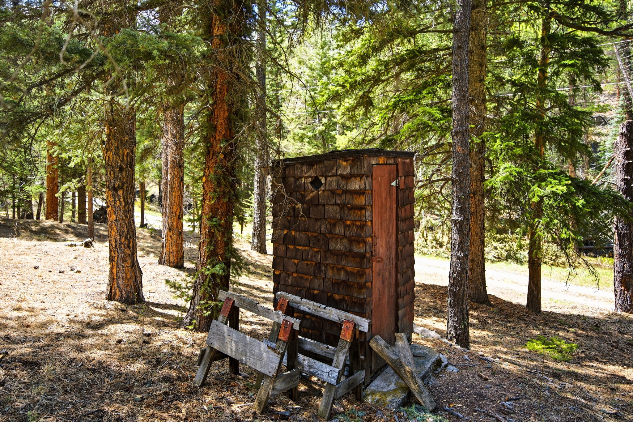  Photo 41