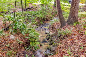 Image-37
