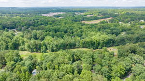 Image-50