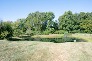 1527 Englewood Ct-5580