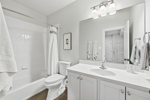  Photo 43
