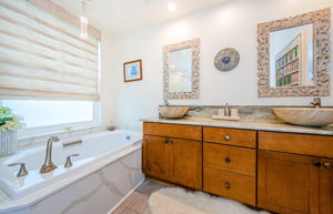 Master Bathroom 1b