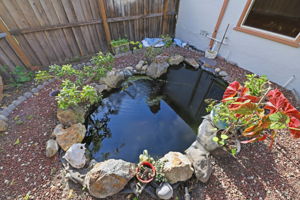 Photo 37
