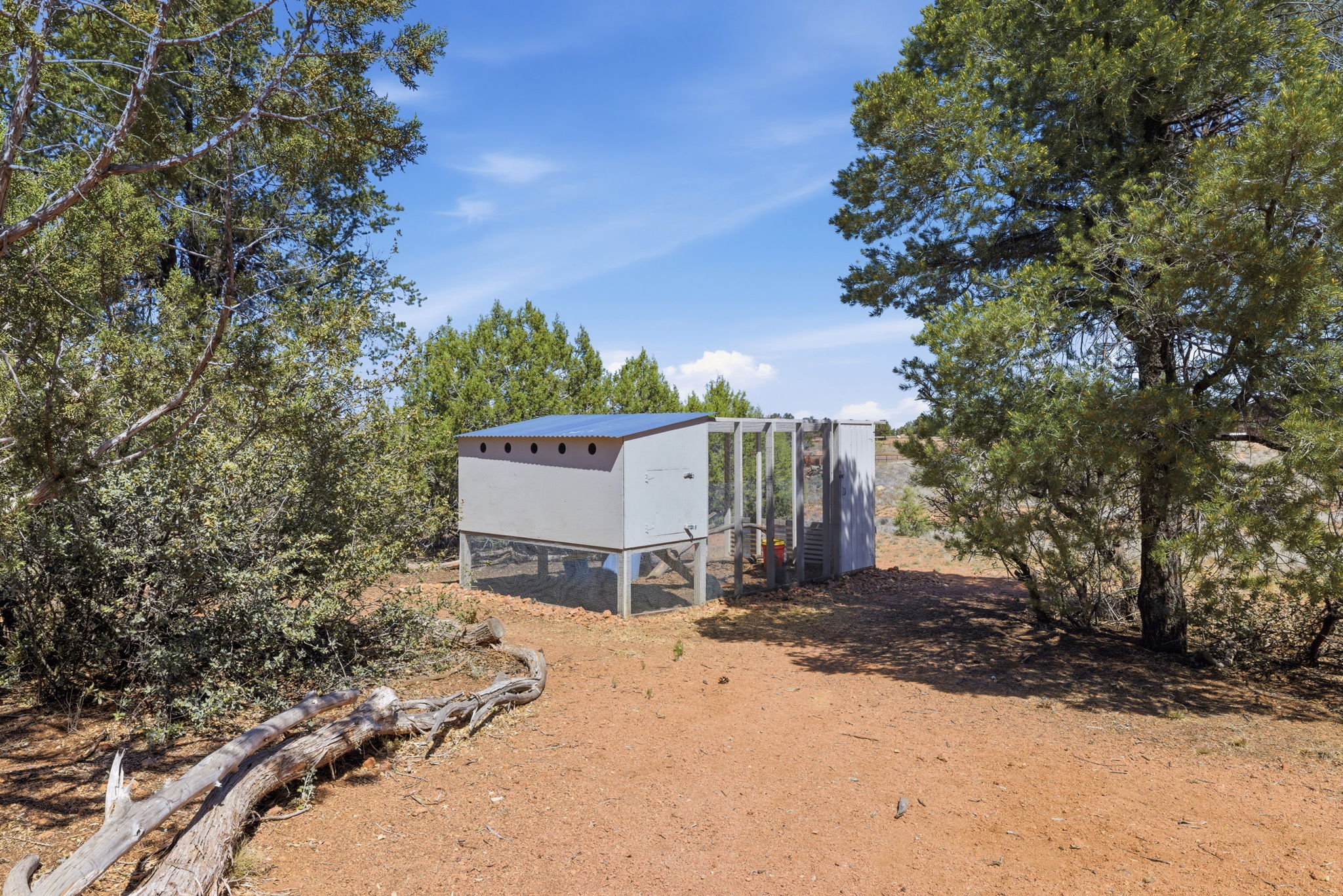 Chicken Coop